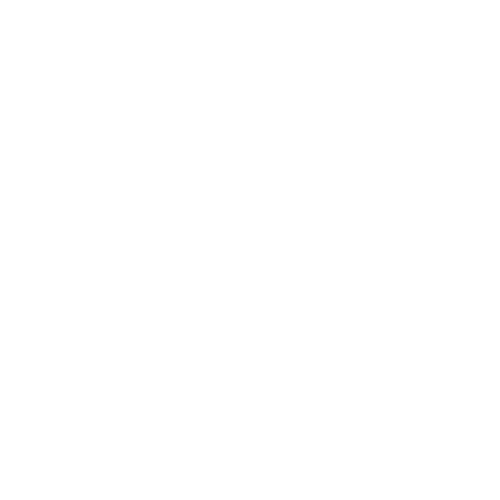 white Evolve packages icon.