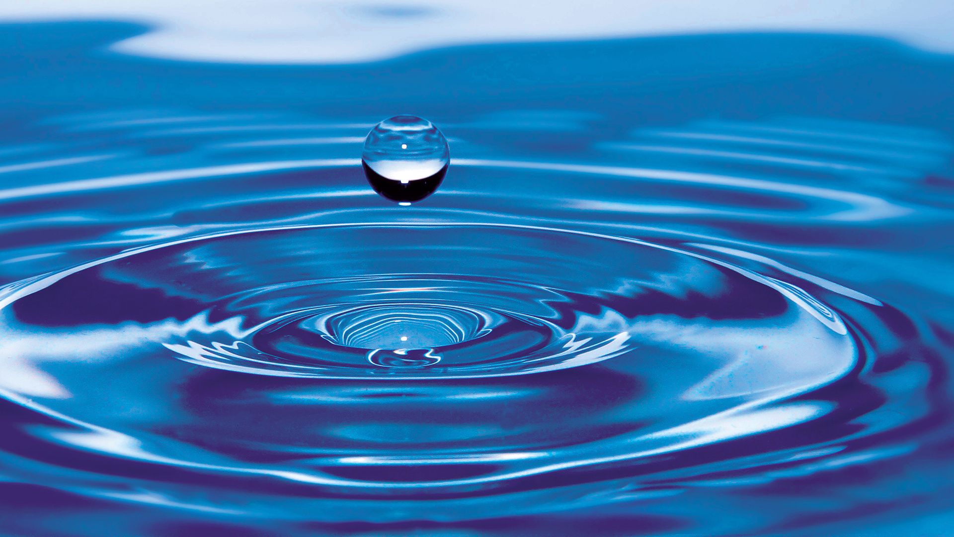 Close up of water droplet creating a ripple in blue water.
