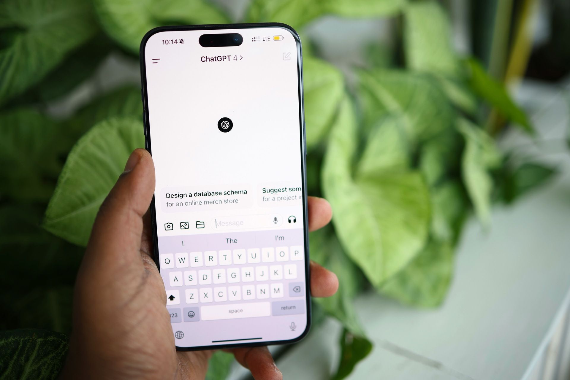 Close up of mobile phone screen using ChatGPT with green leaves in background.